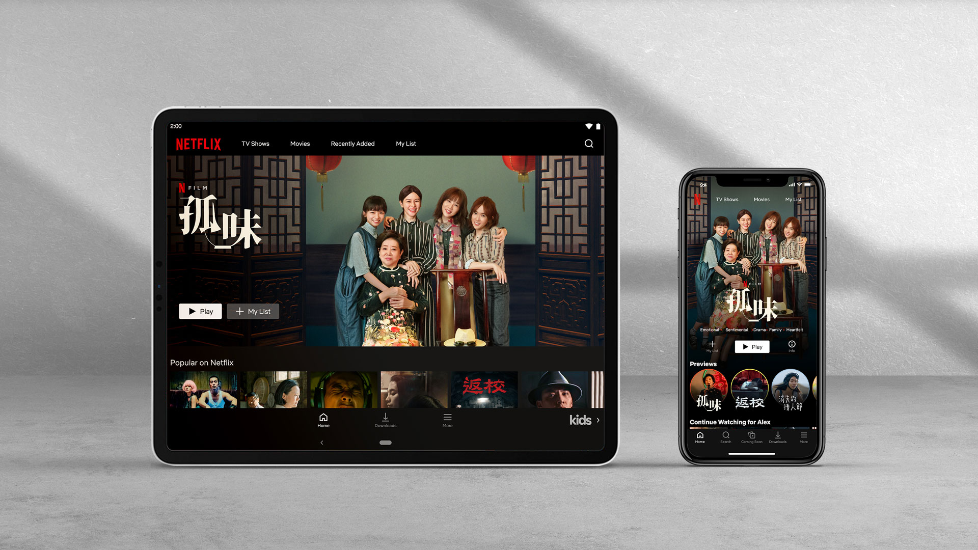 Netflix 國際串流影音平台｜介面視覺設計｜標準字設計 | JL DESIGN